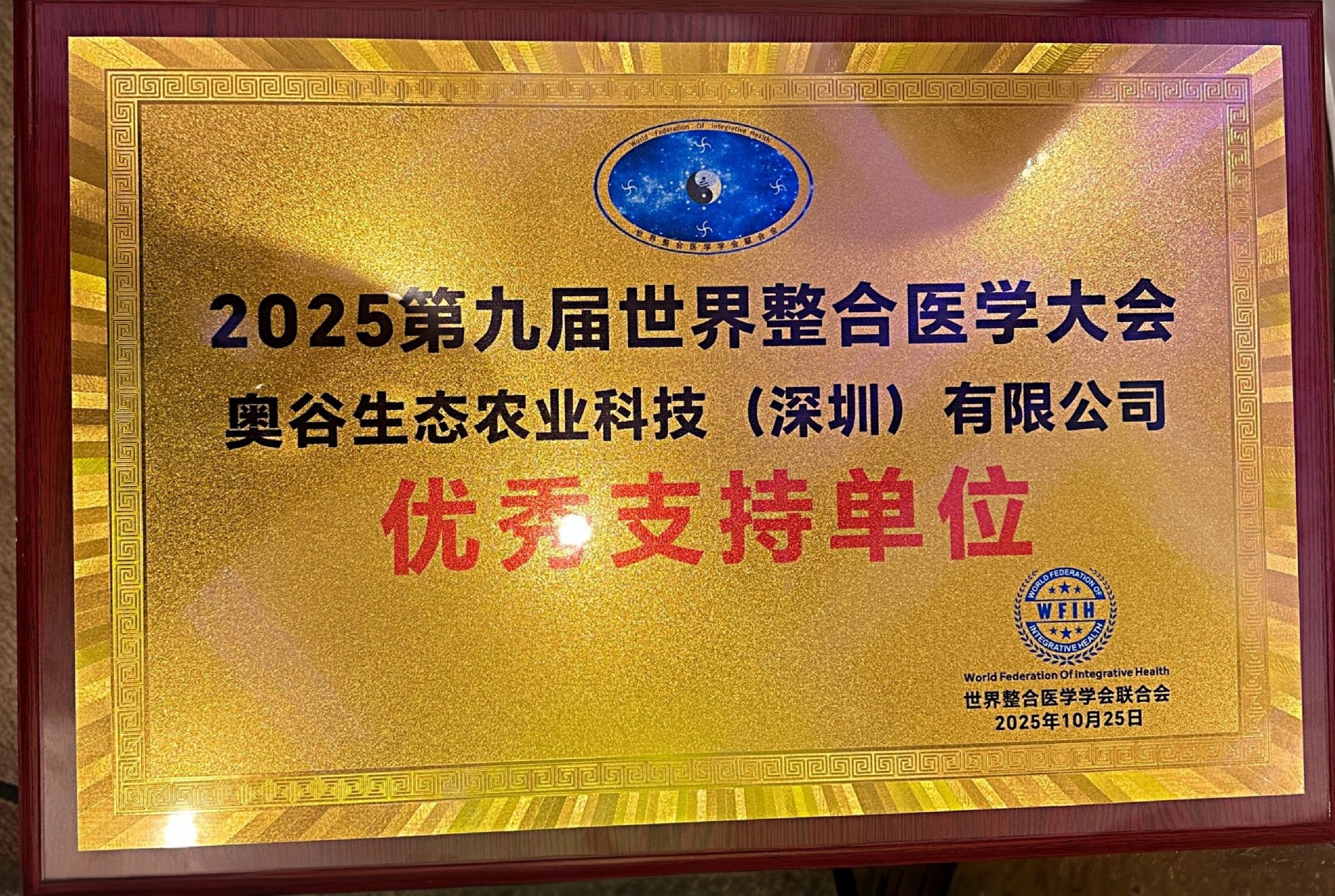 优秀单位世界整合医学学会联合会.jpg