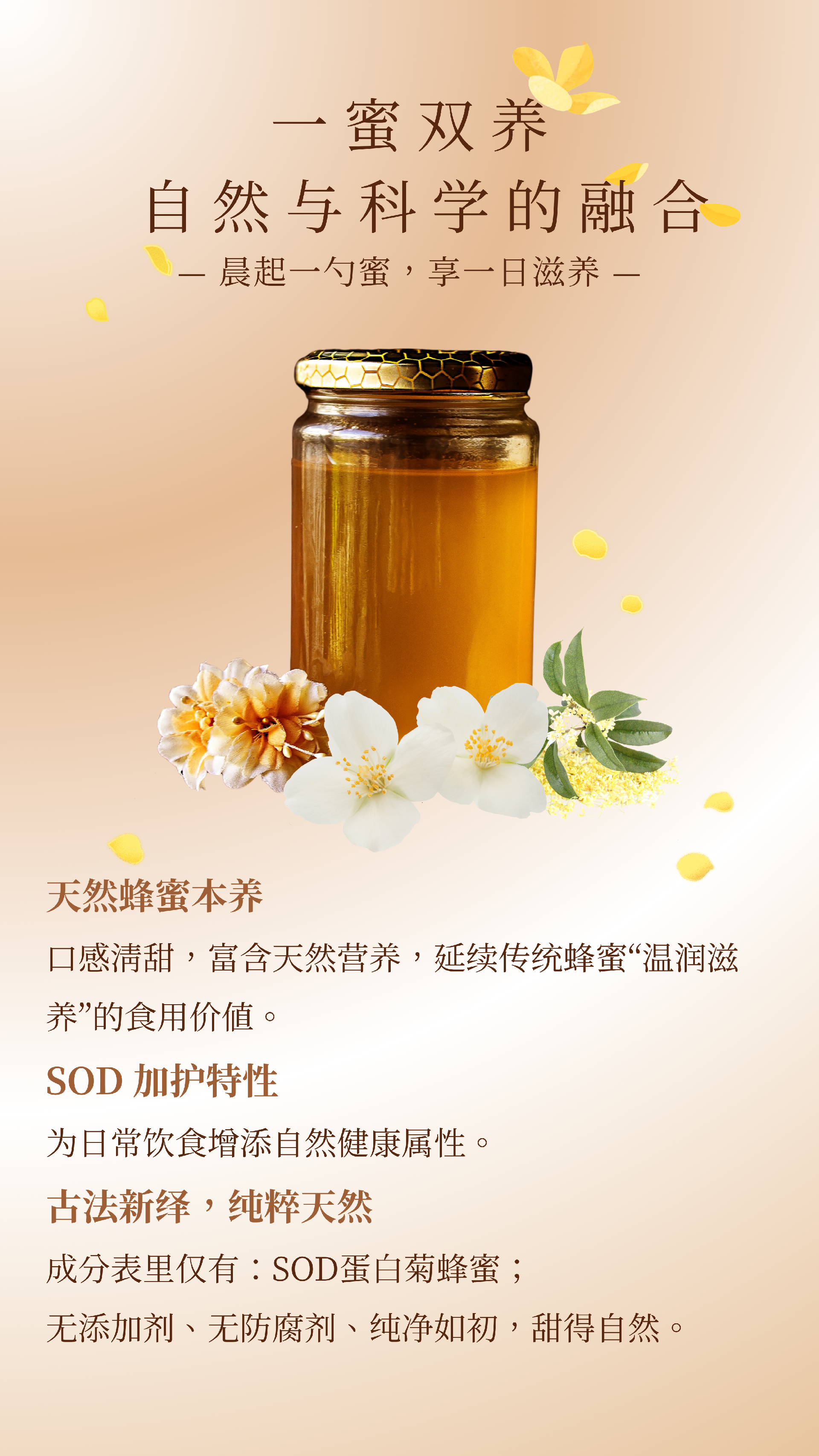 SOD蜂蜜3.png