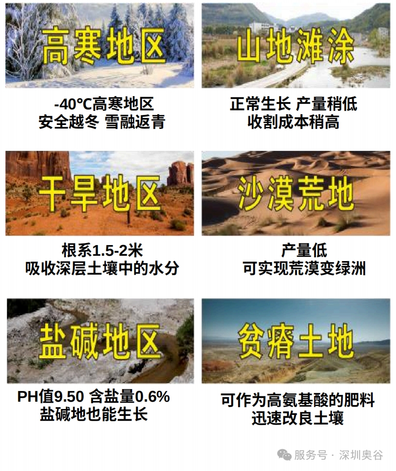 对土地条件的应用.png
