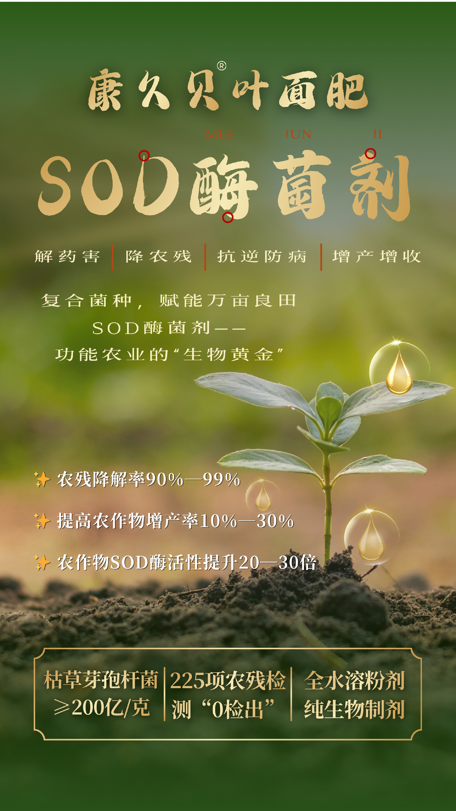 SOD酶菌剂 - 1.png