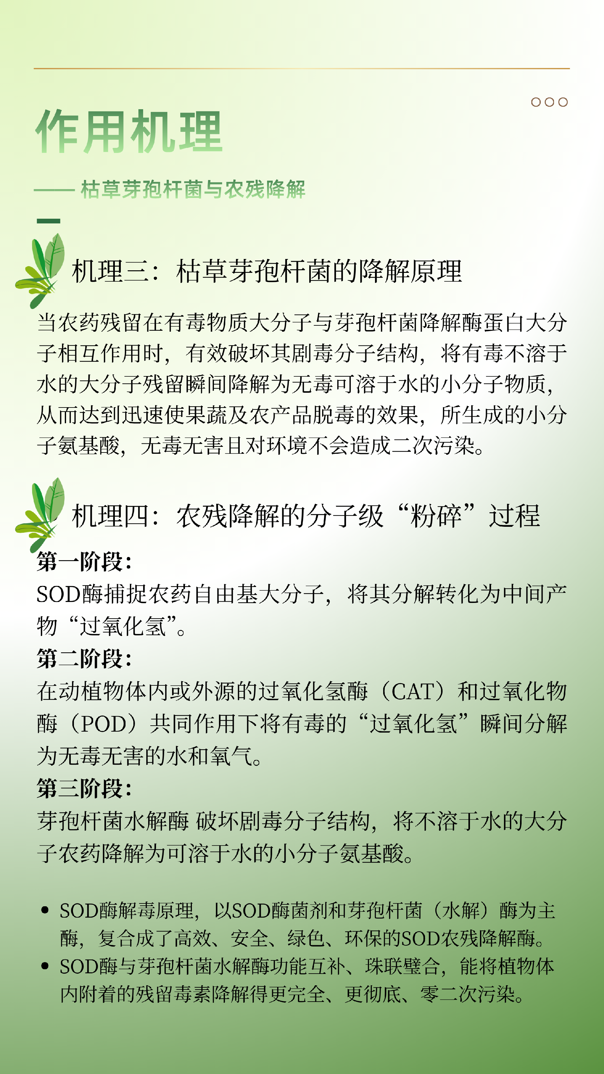 SOD酶菌剂 - 7.png