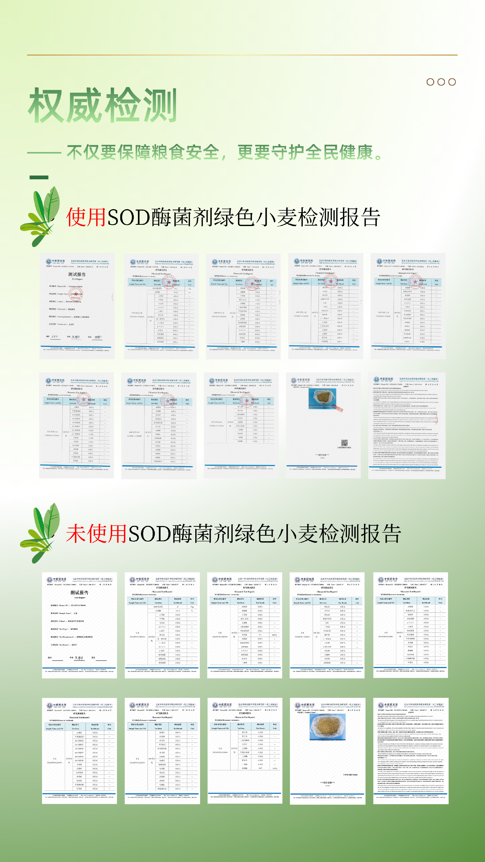 SOD酶菌剂 - 12.png