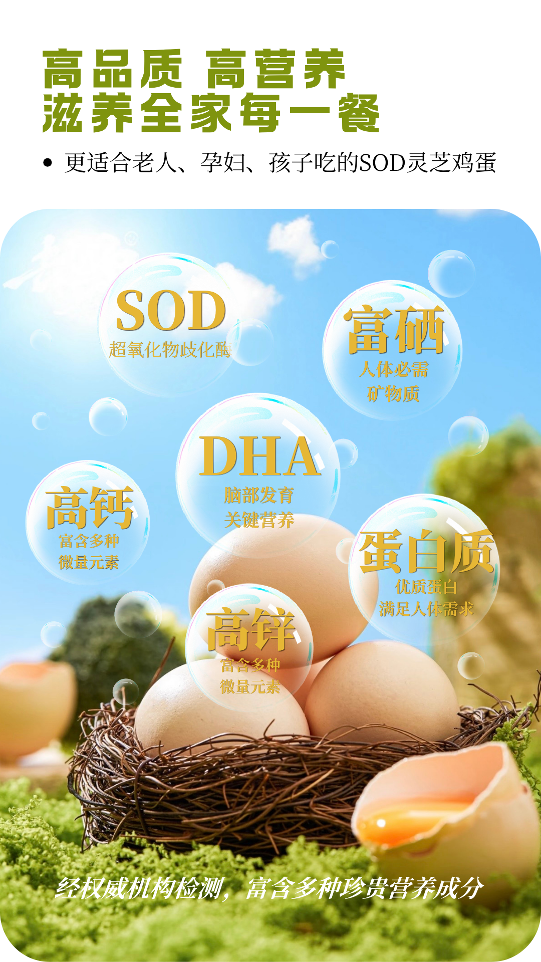 SOD灵芝鸡蛋 详情页  - 3.png