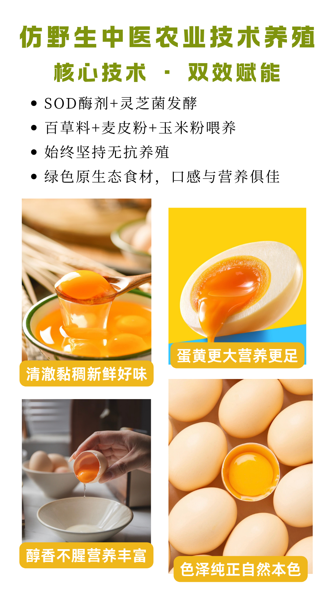 SOD灵芝鸡蛋 详情页  - 5.png
